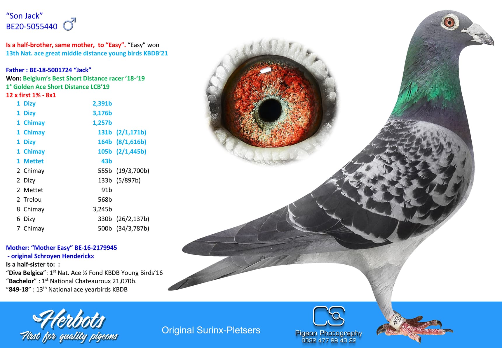 pigeon: undefined
