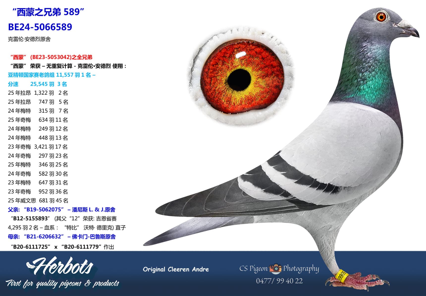 pigeon: undefined