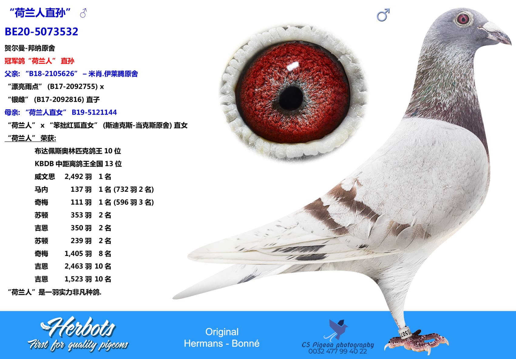 pigeon: undefined