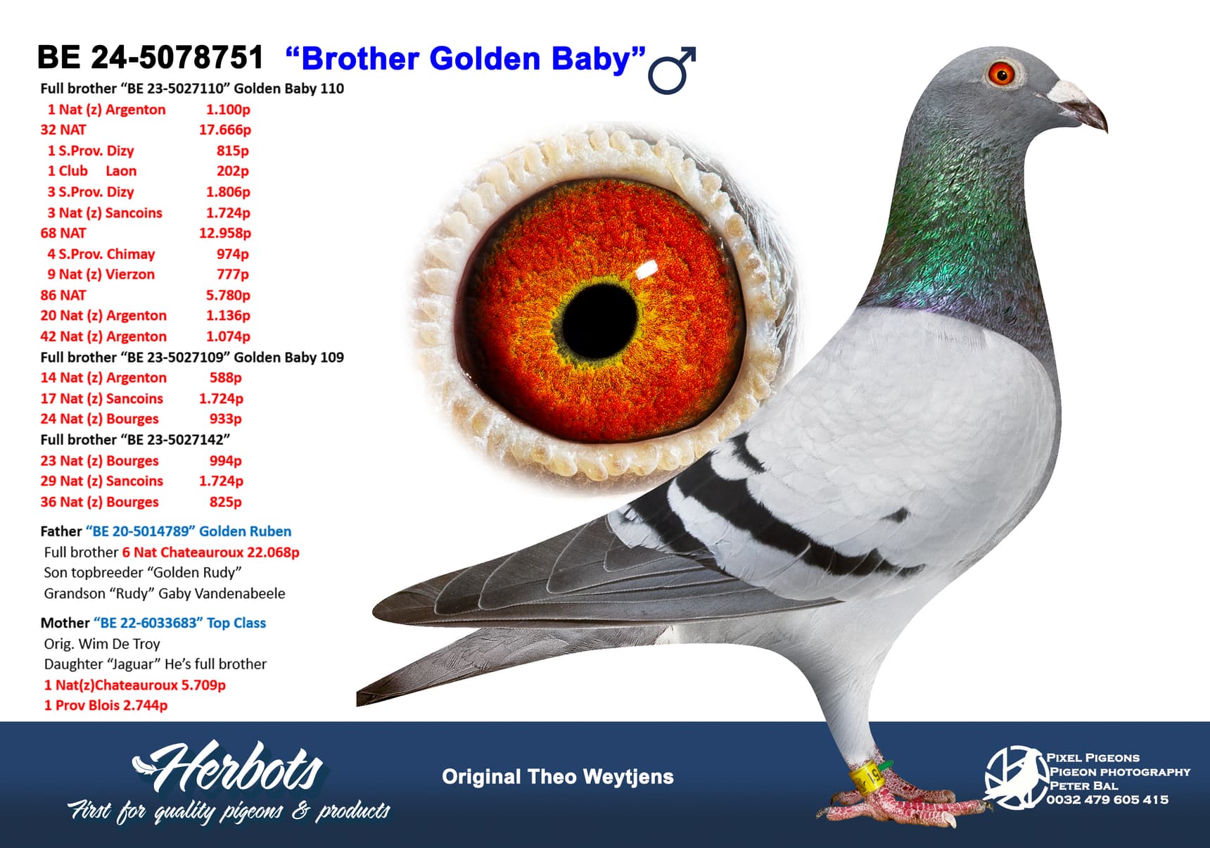 pigeon: undefined