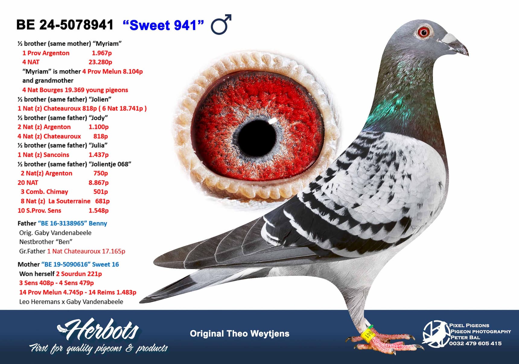 pigeon: undefined