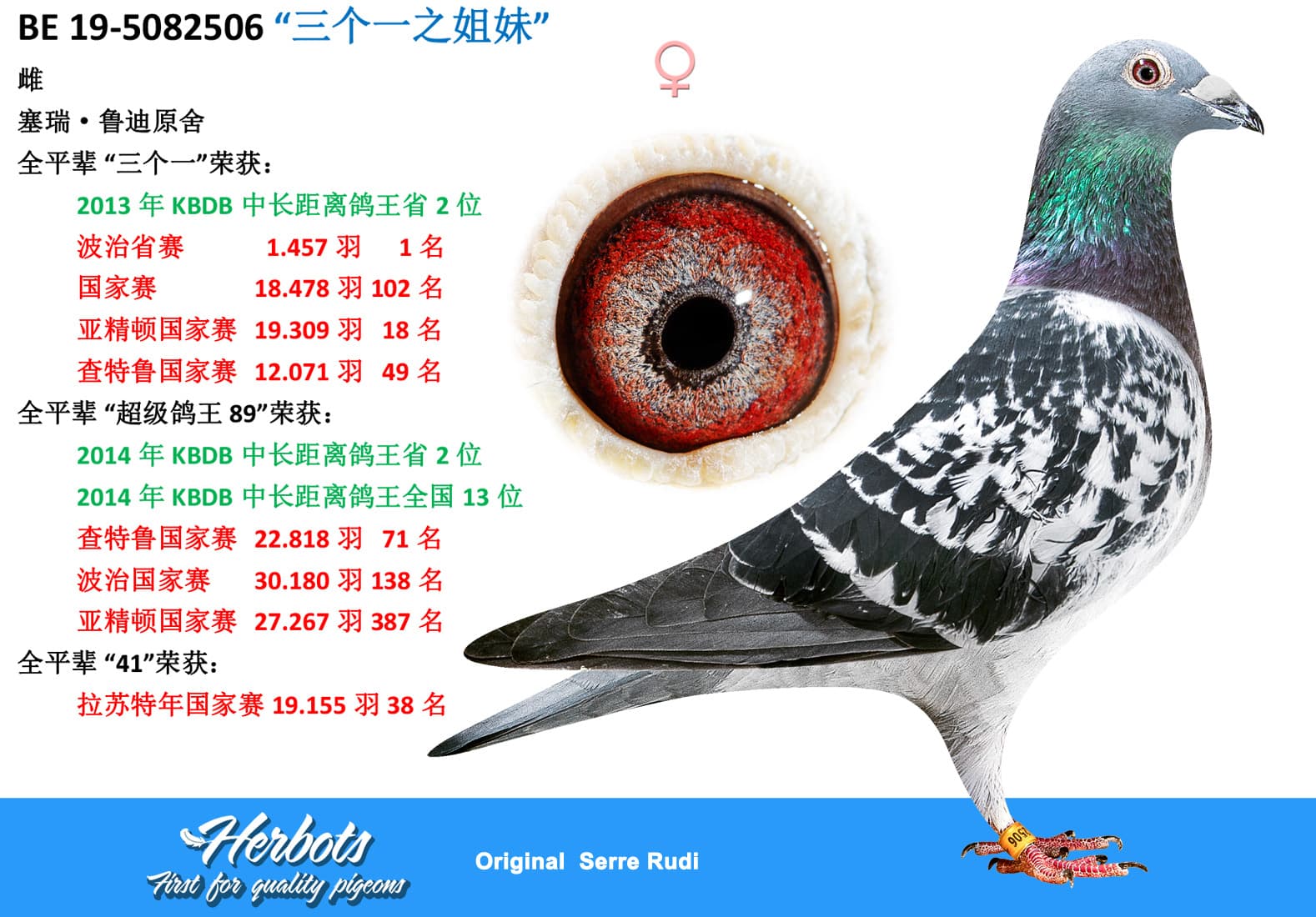 pigeon: undefined