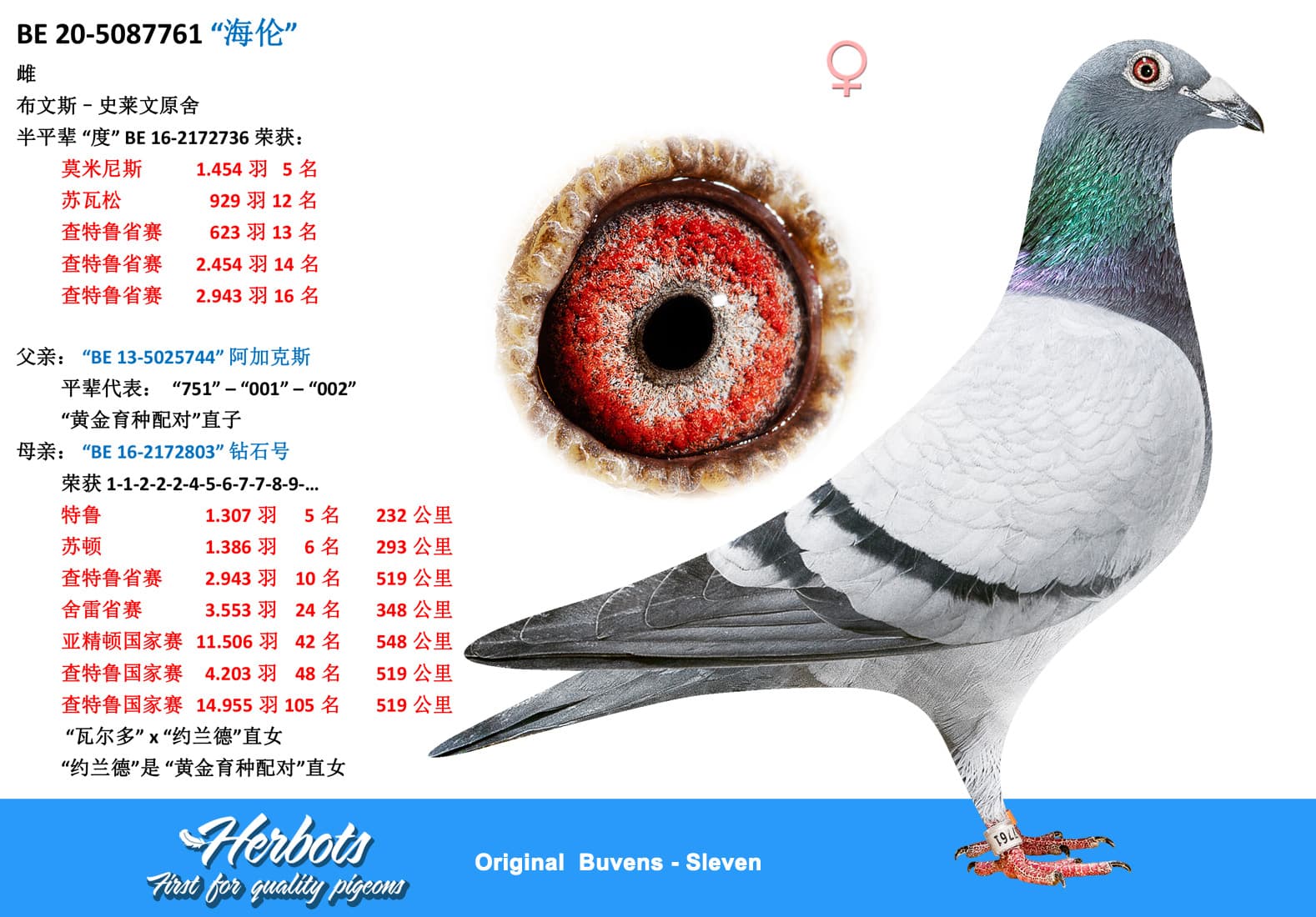 pigeon: undefined