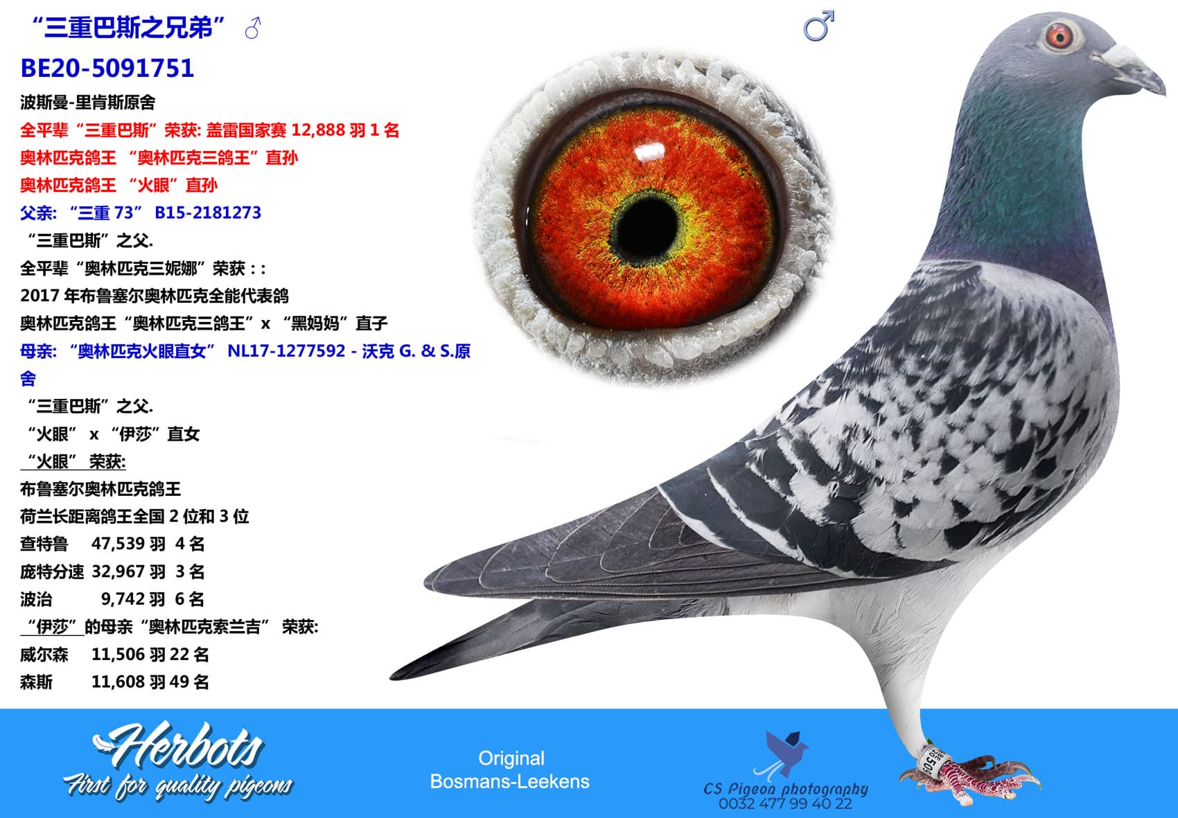 pigeon: “三重巴斯之兄弟”