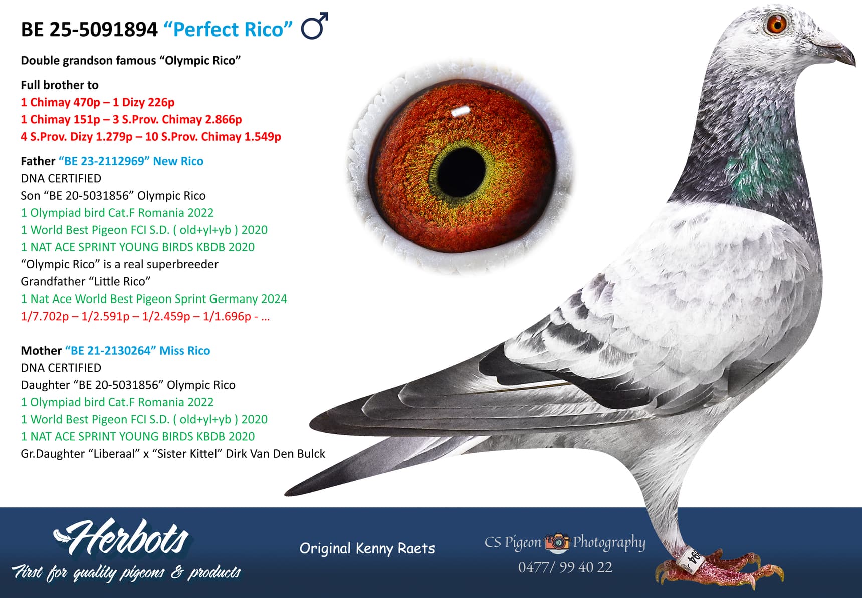 pigeon: undefined