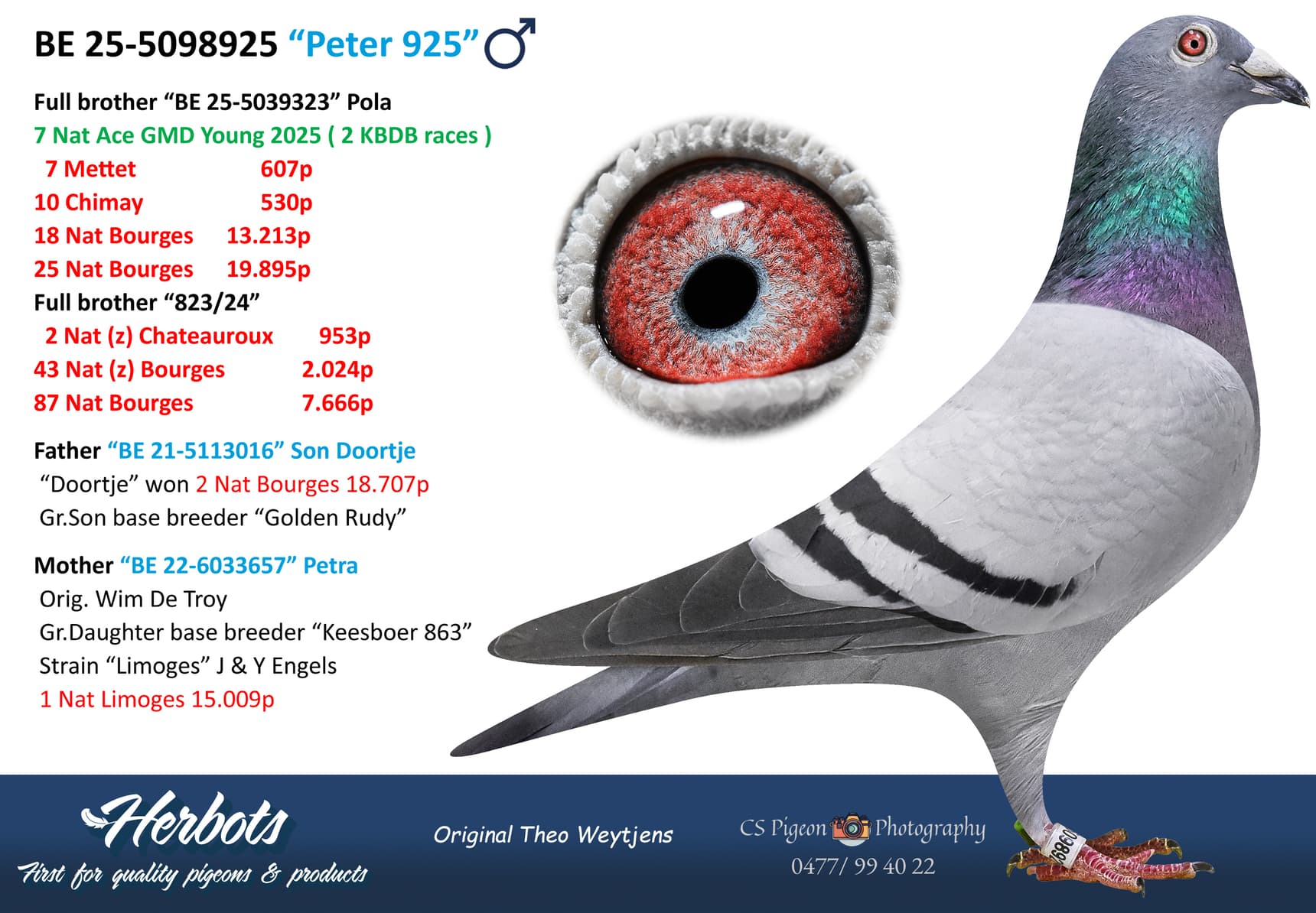 pigeon: undefined