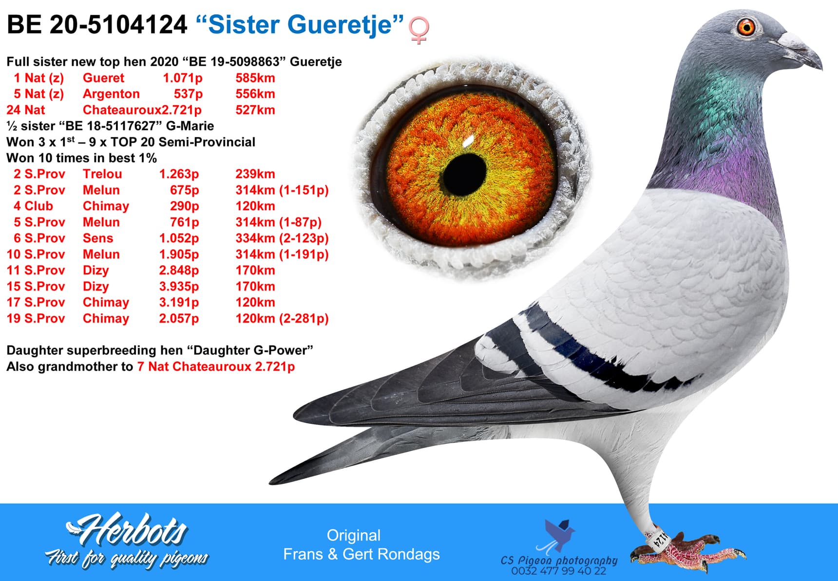 pigeon: undefined