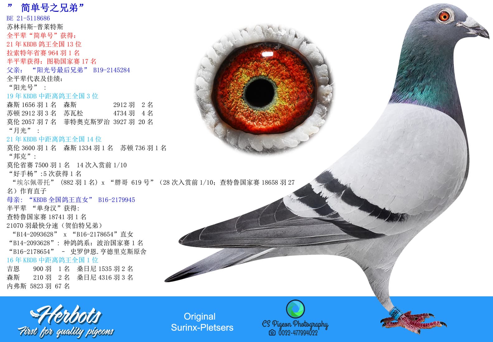 pigeon: undefined