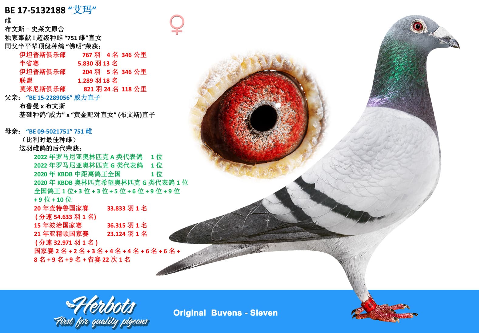 pigeon: undefined