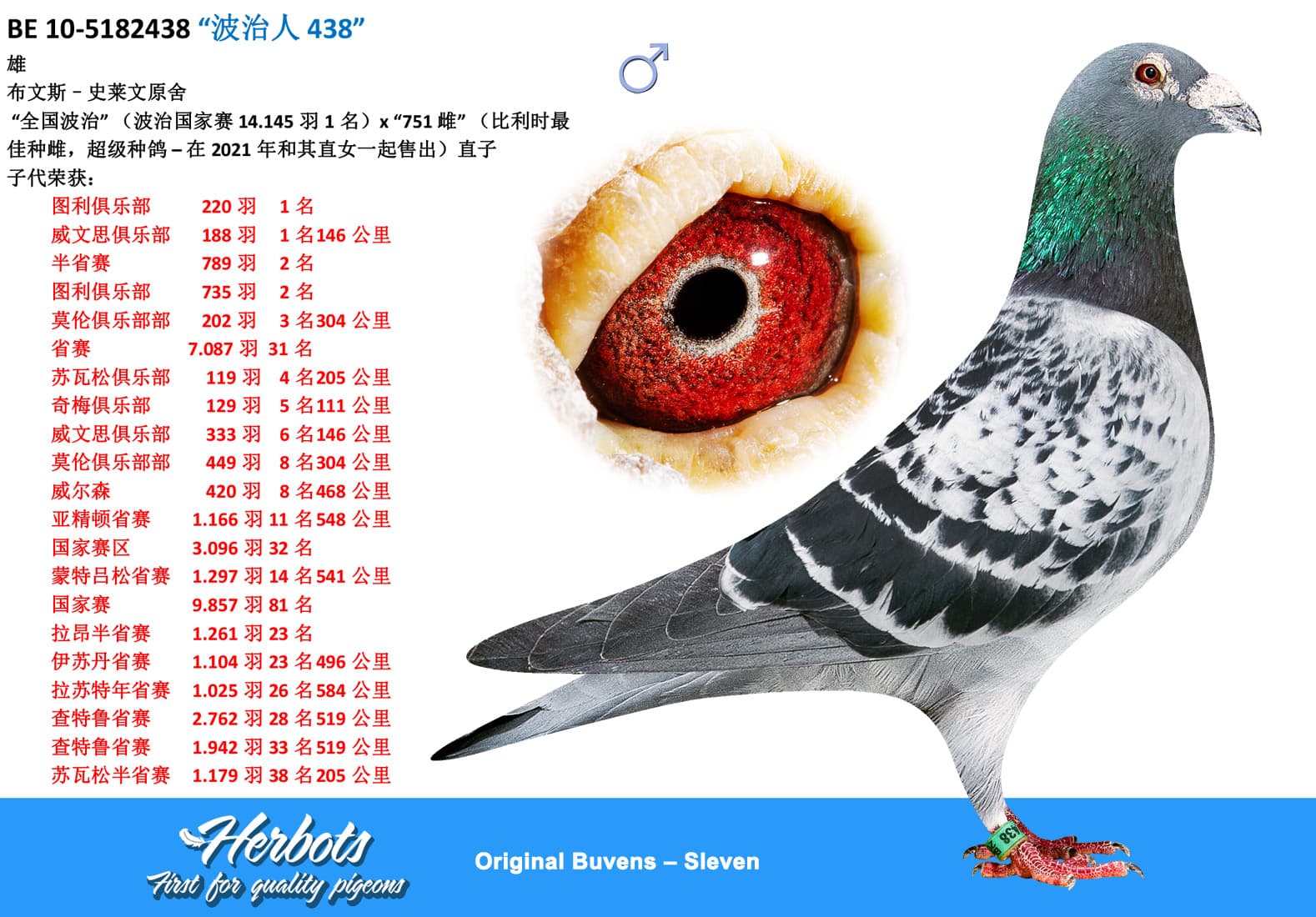 pigeon: undefined