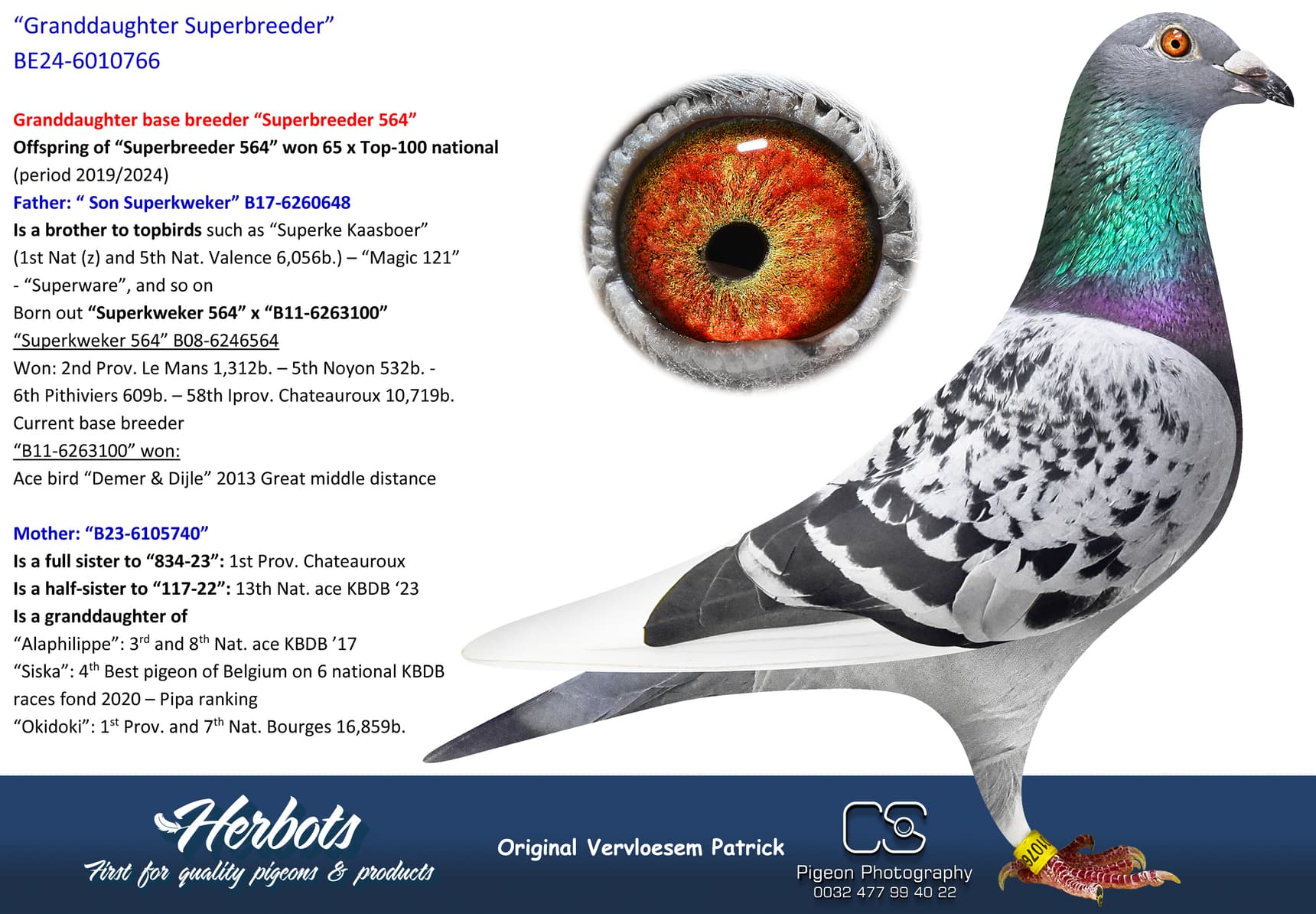 pigeon: undefined
