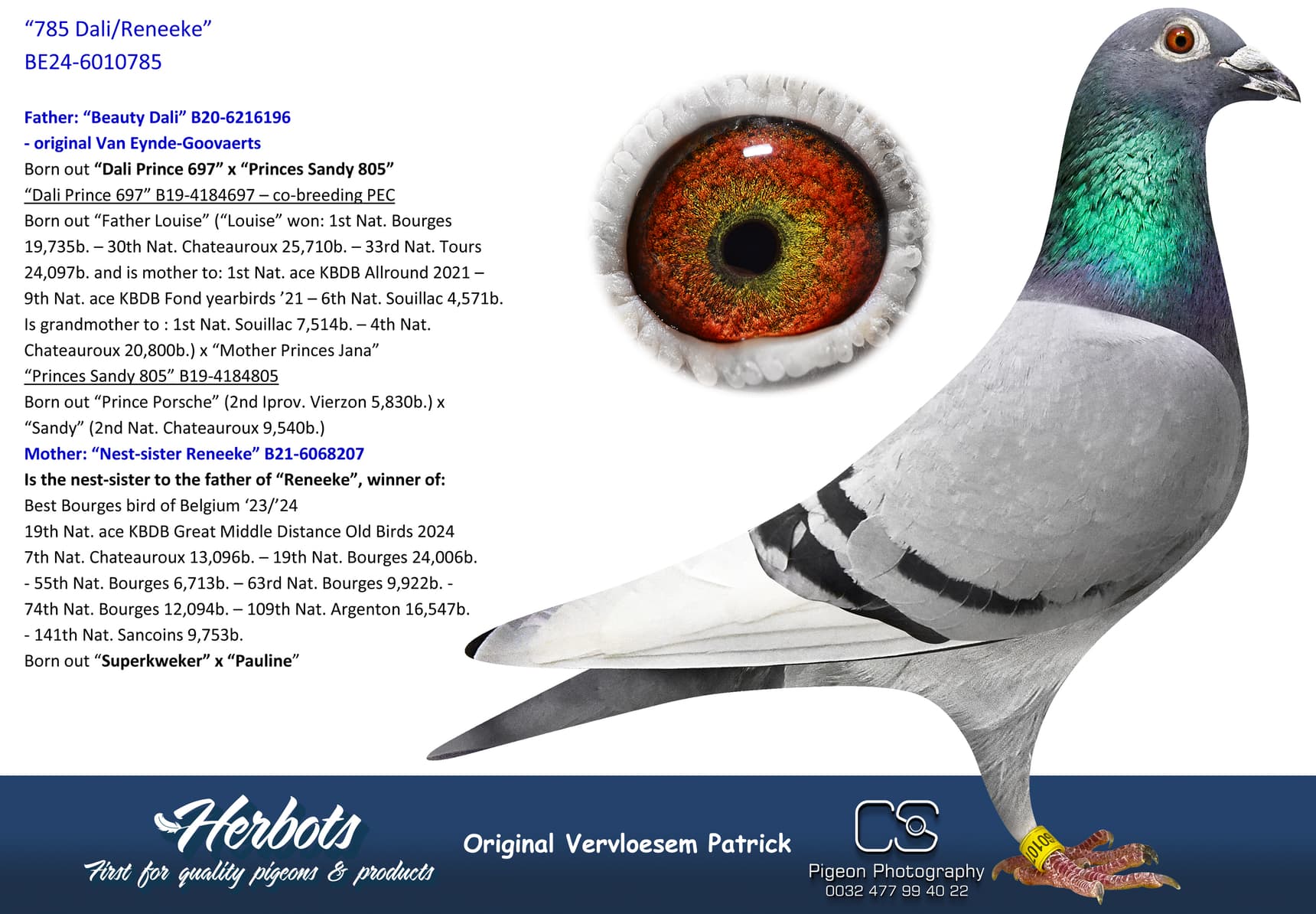 pigeon: undefined