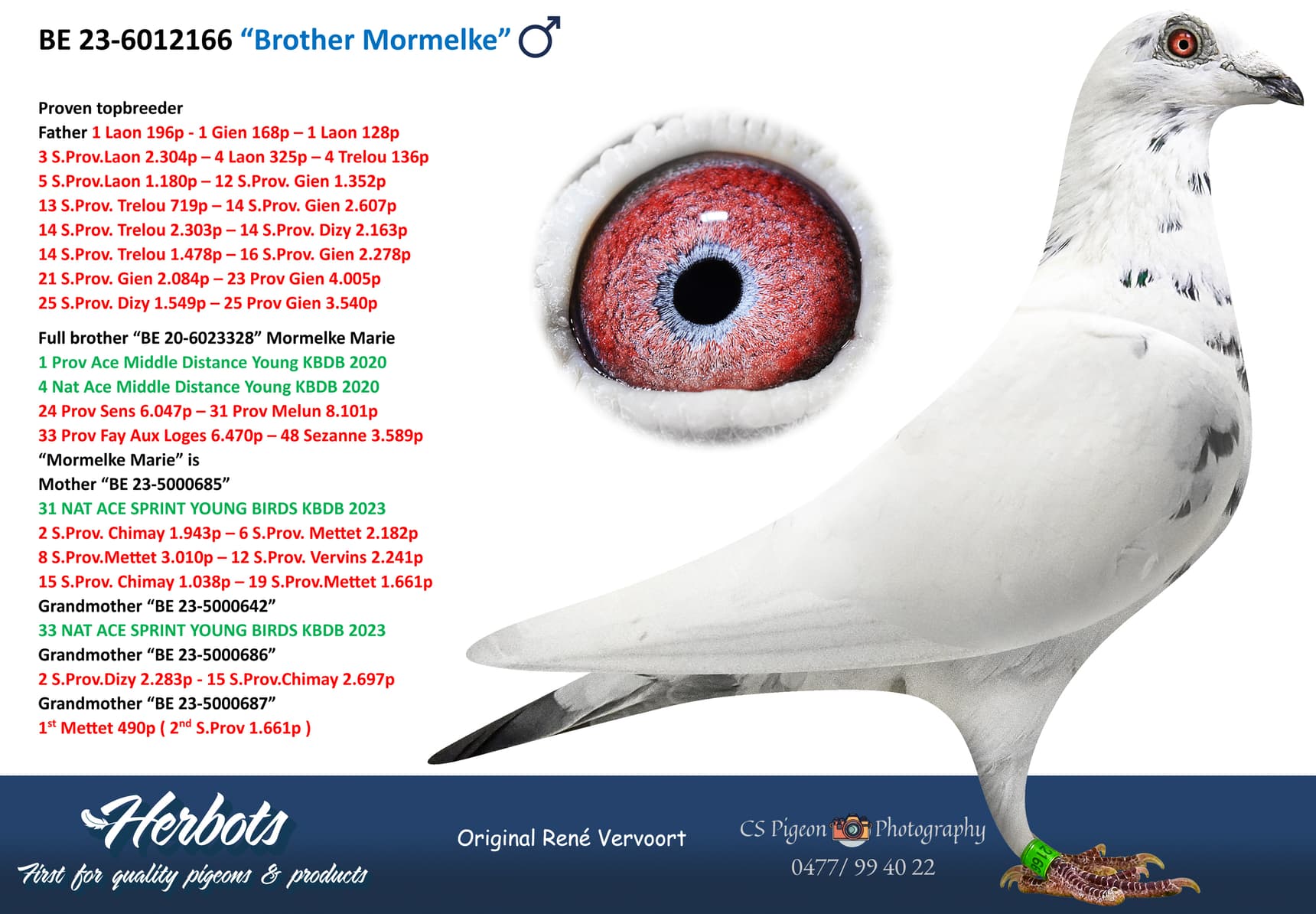 pigeon: undefined