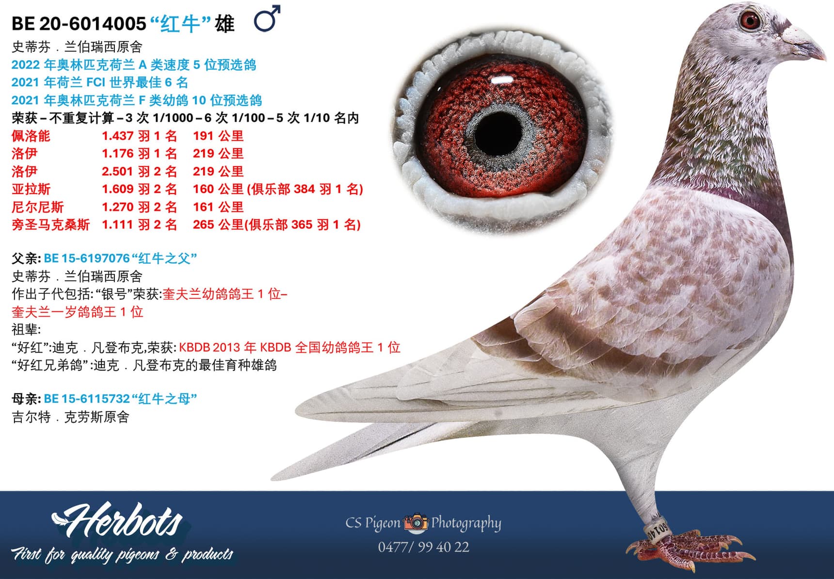 pigeon: undefined