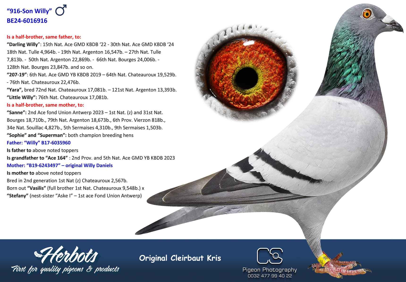 pigeon: undefined