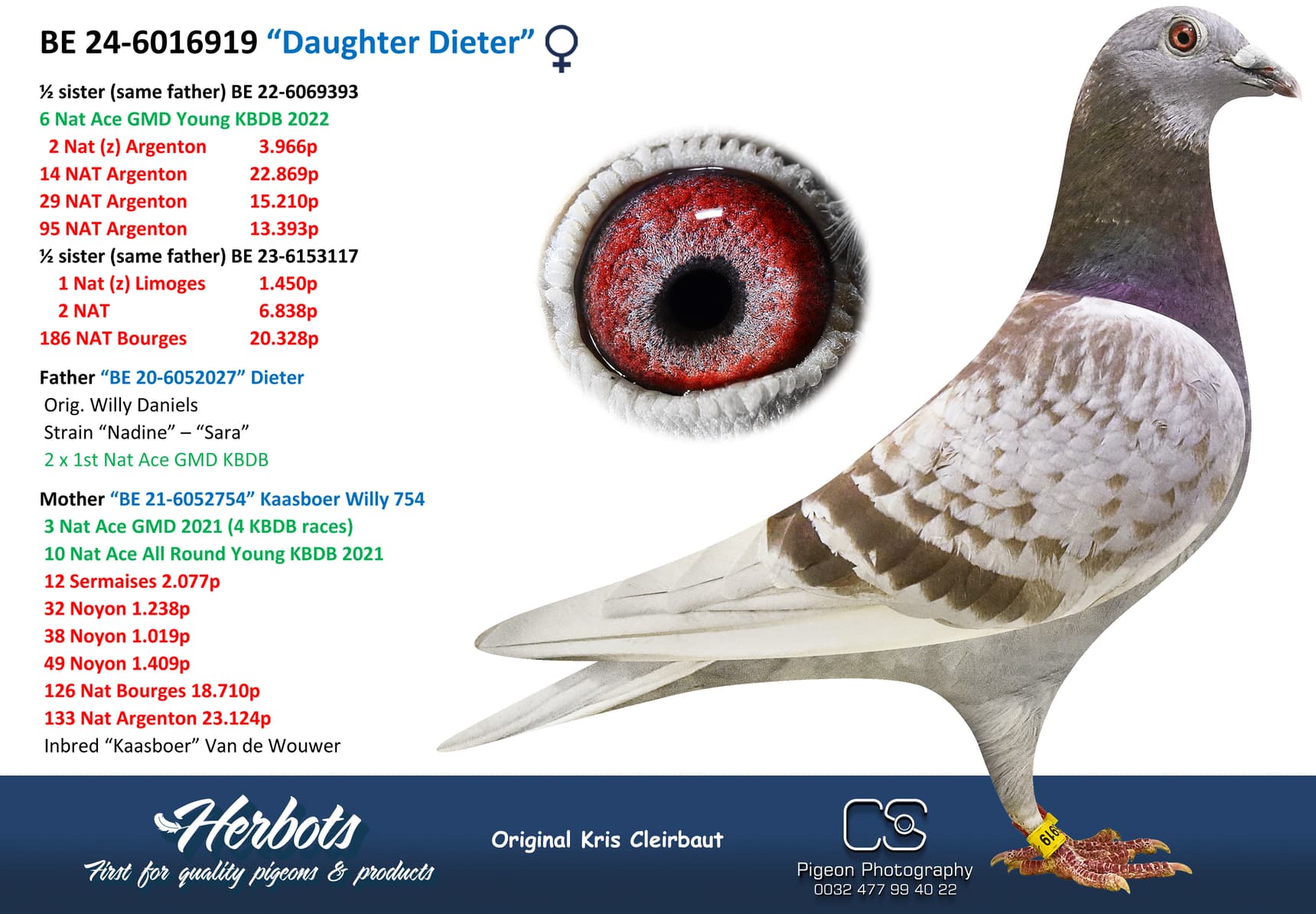pigeon: undefined
