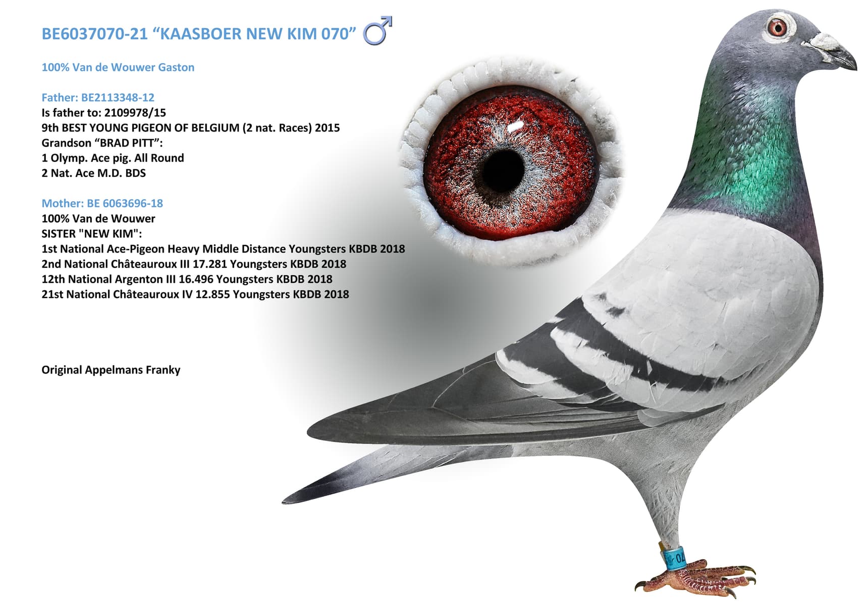 “KAASBOER NEW KIM 070”