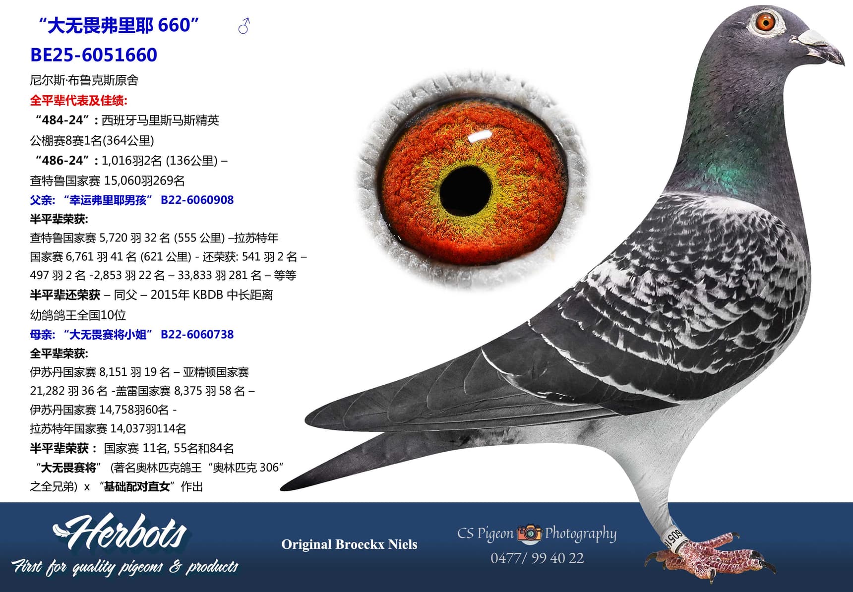 pigeon: undefined