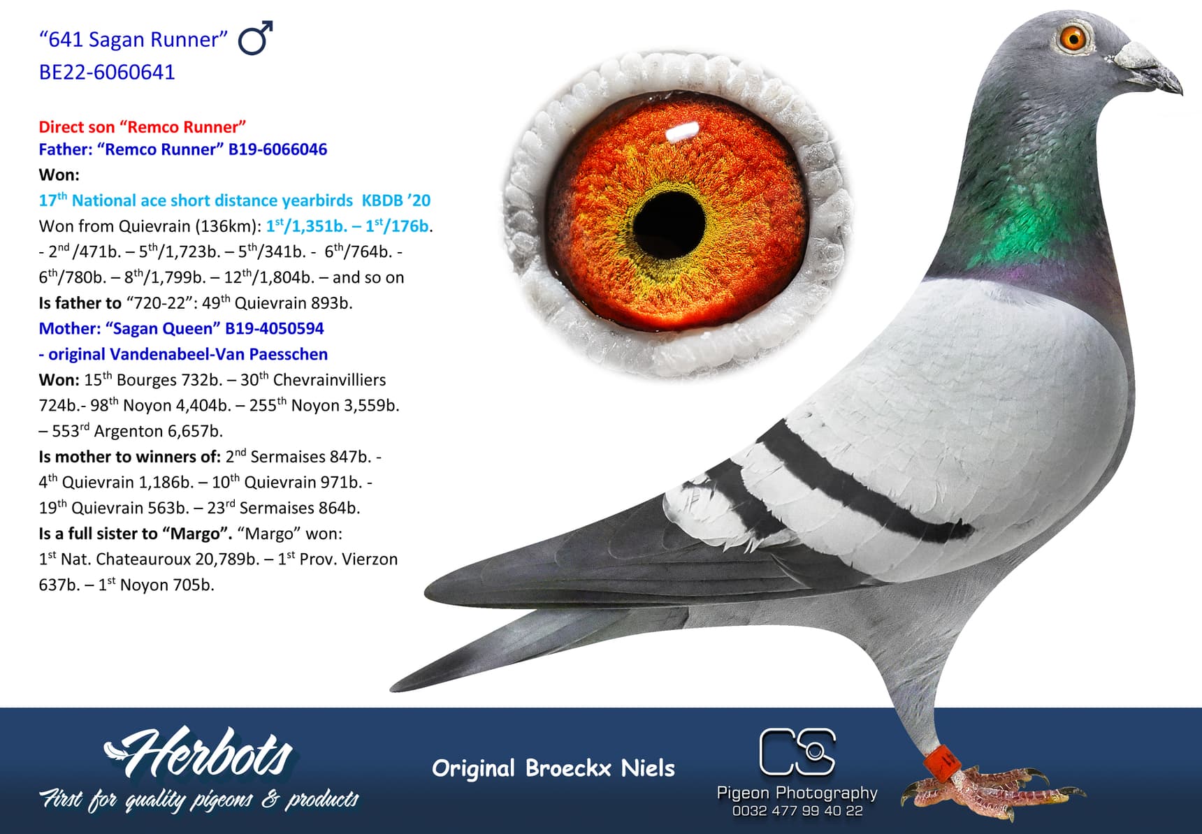 pigeon: undefined