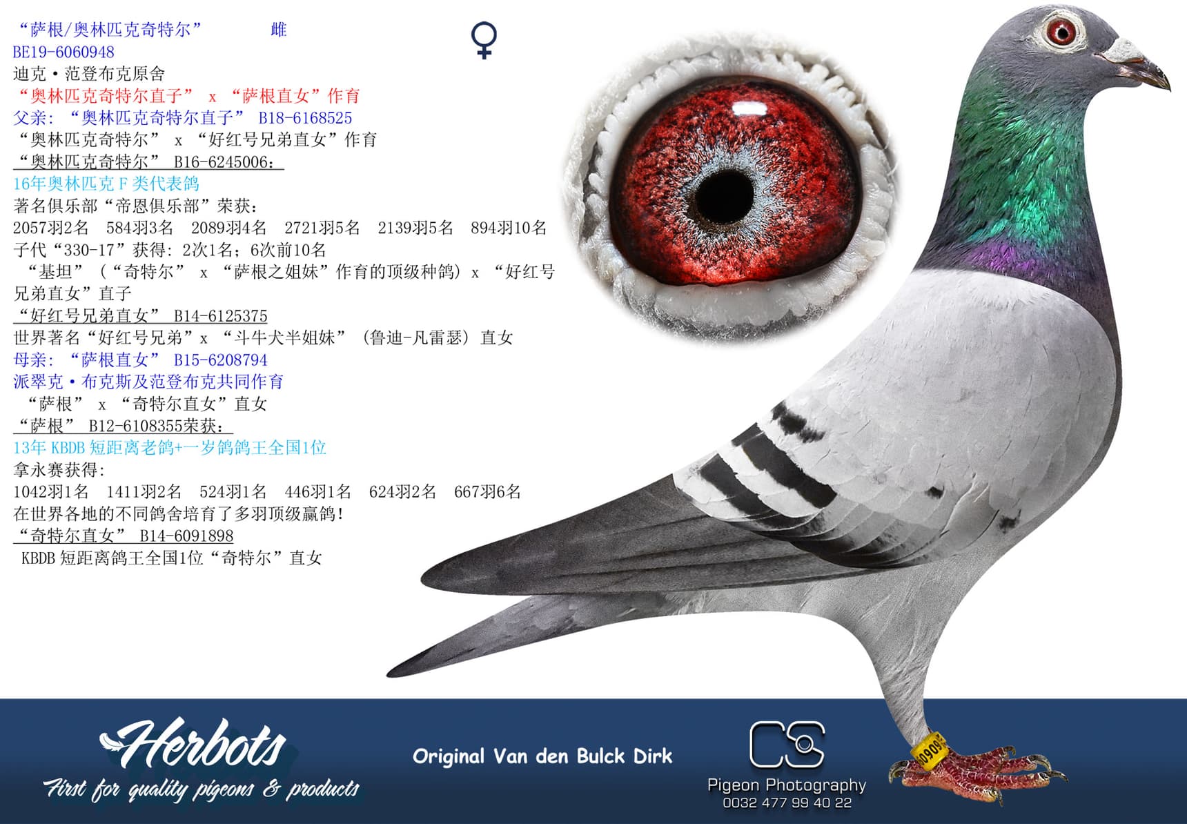 pigeon: “萨根/奥林匹克奇特尔”
