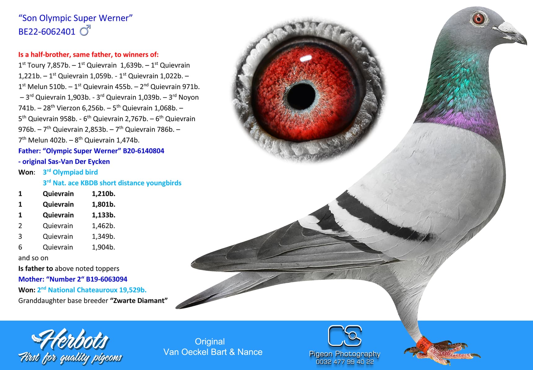 pigeon: undefined