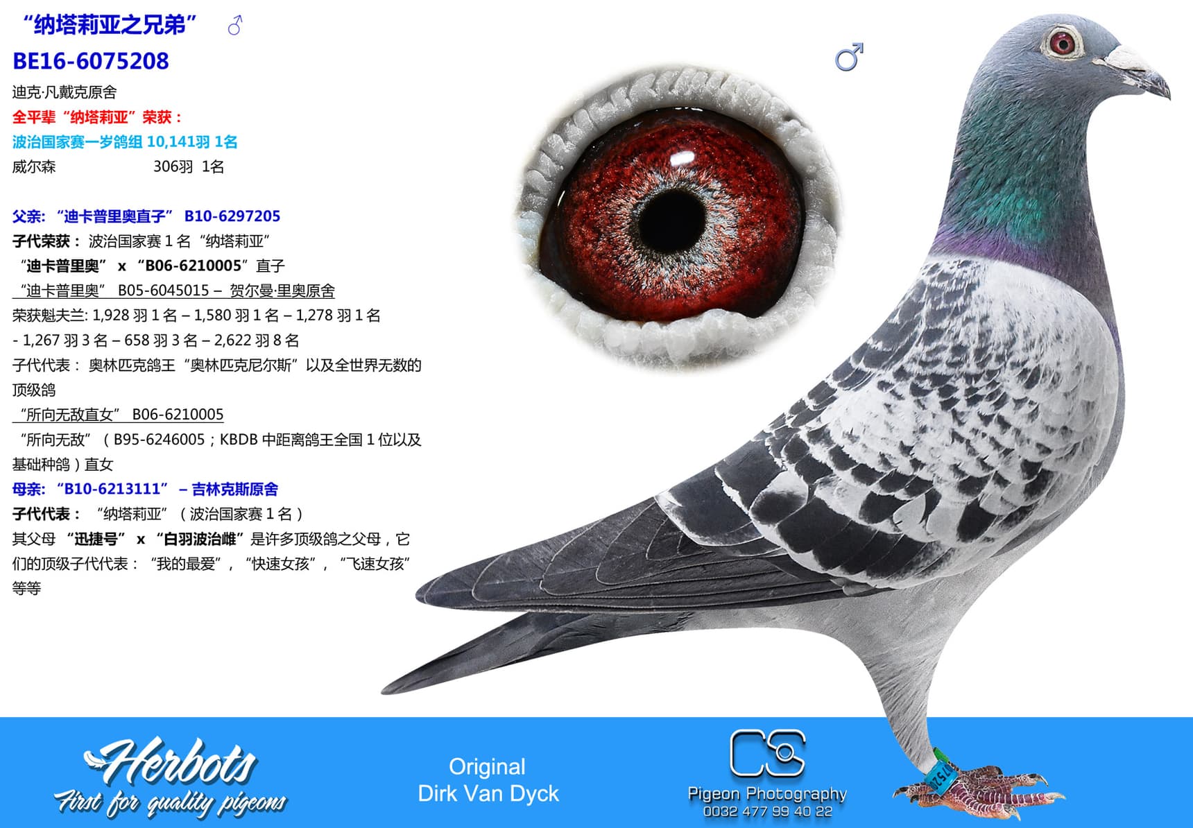 pigeon: undefined