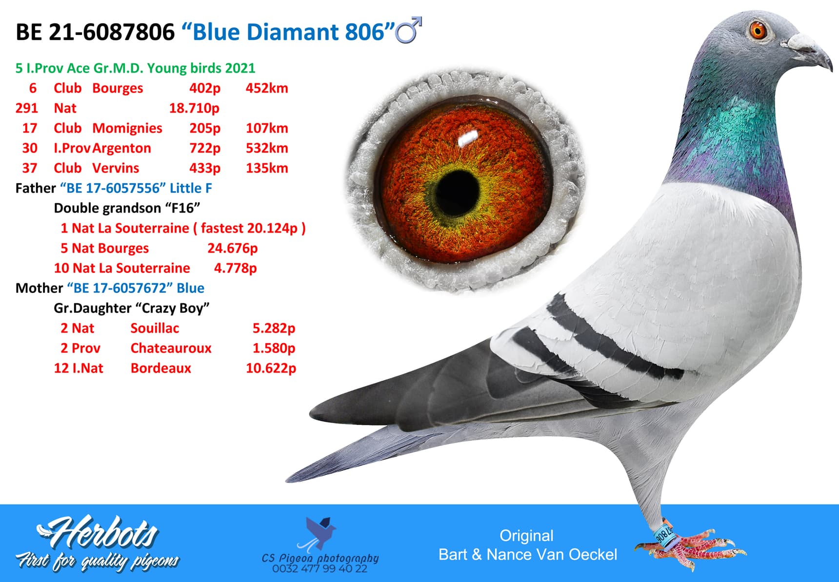 pigeon: undefined