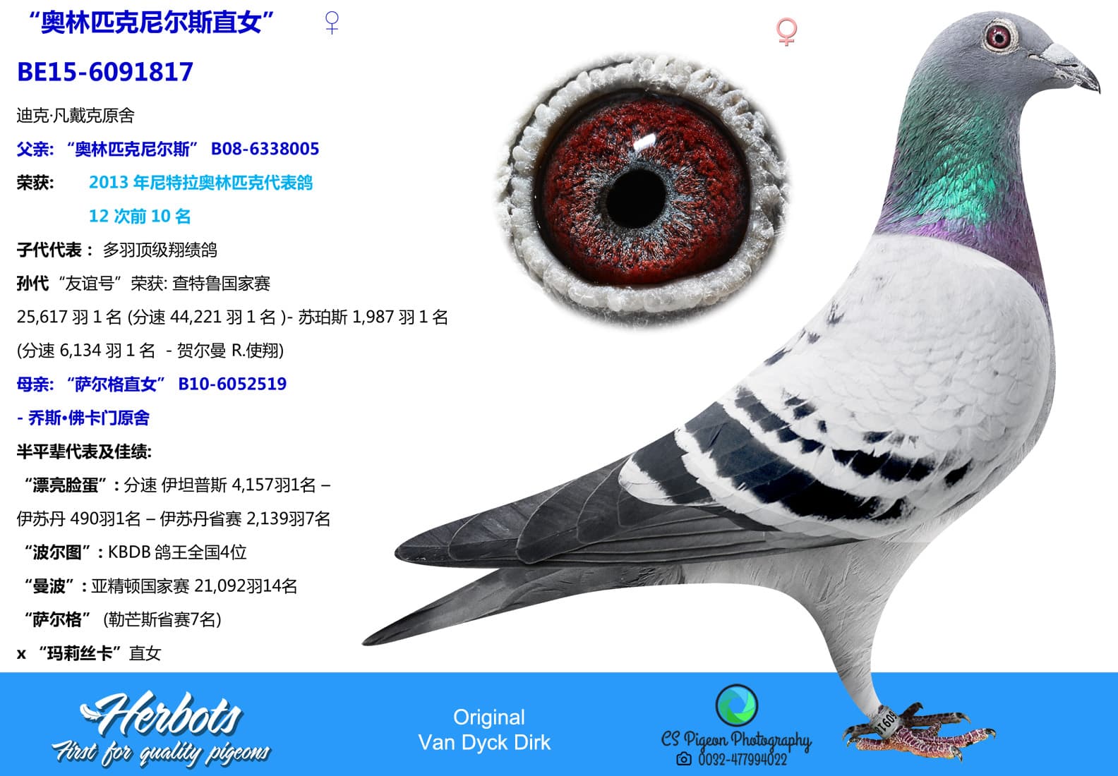 pigeon: undefined