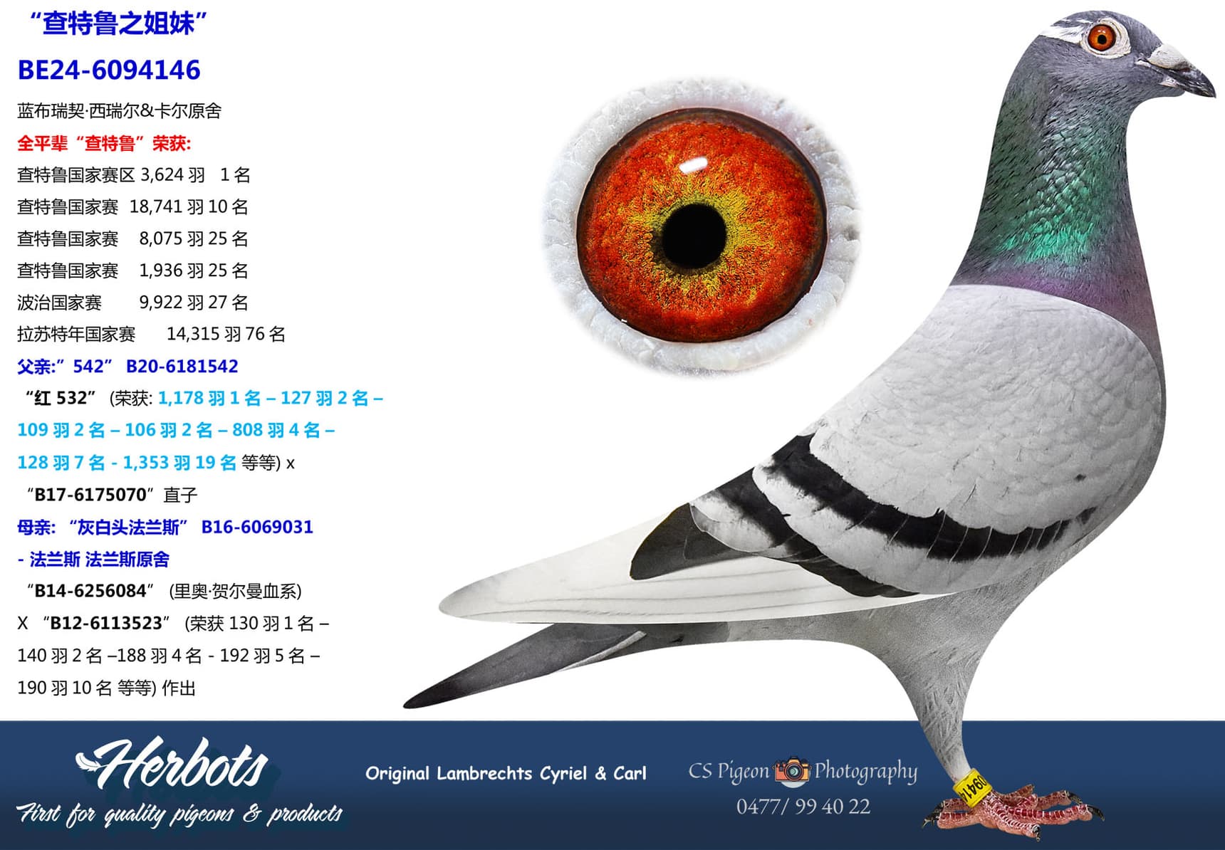 pigeon: undefined