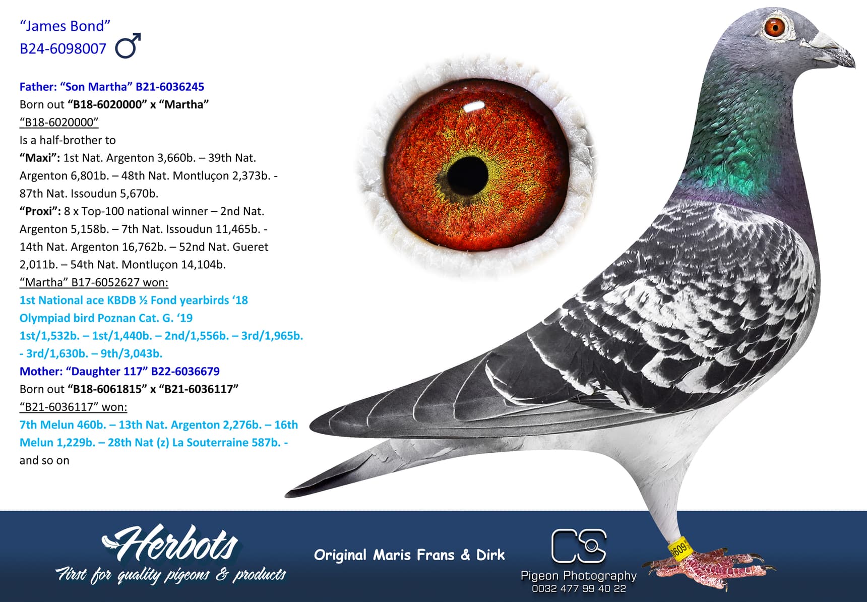 pigeon: undefined