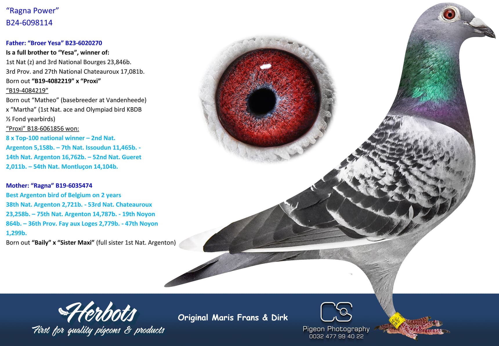 pigeon: undefined