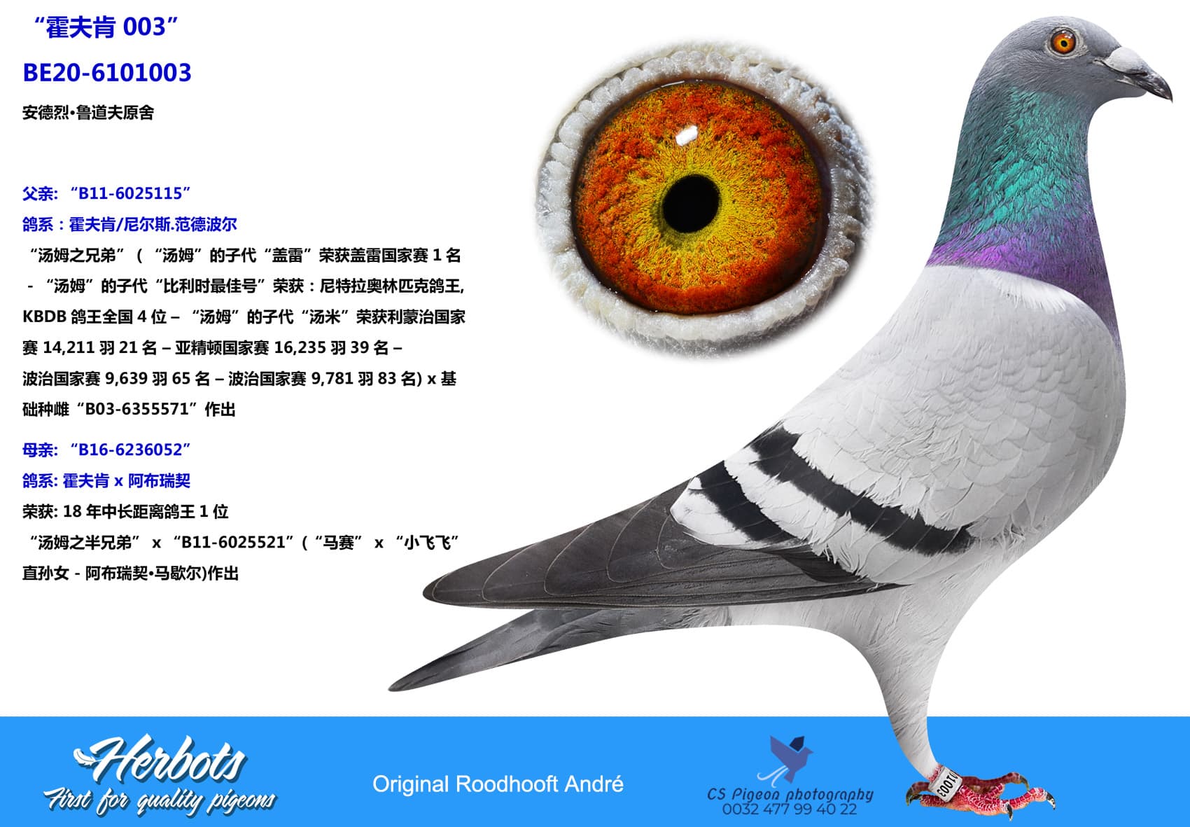pigeon: undefined