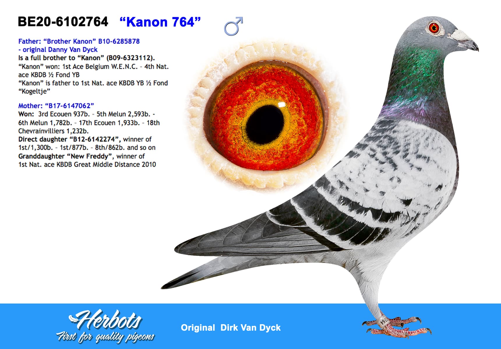 pigeon: undefined