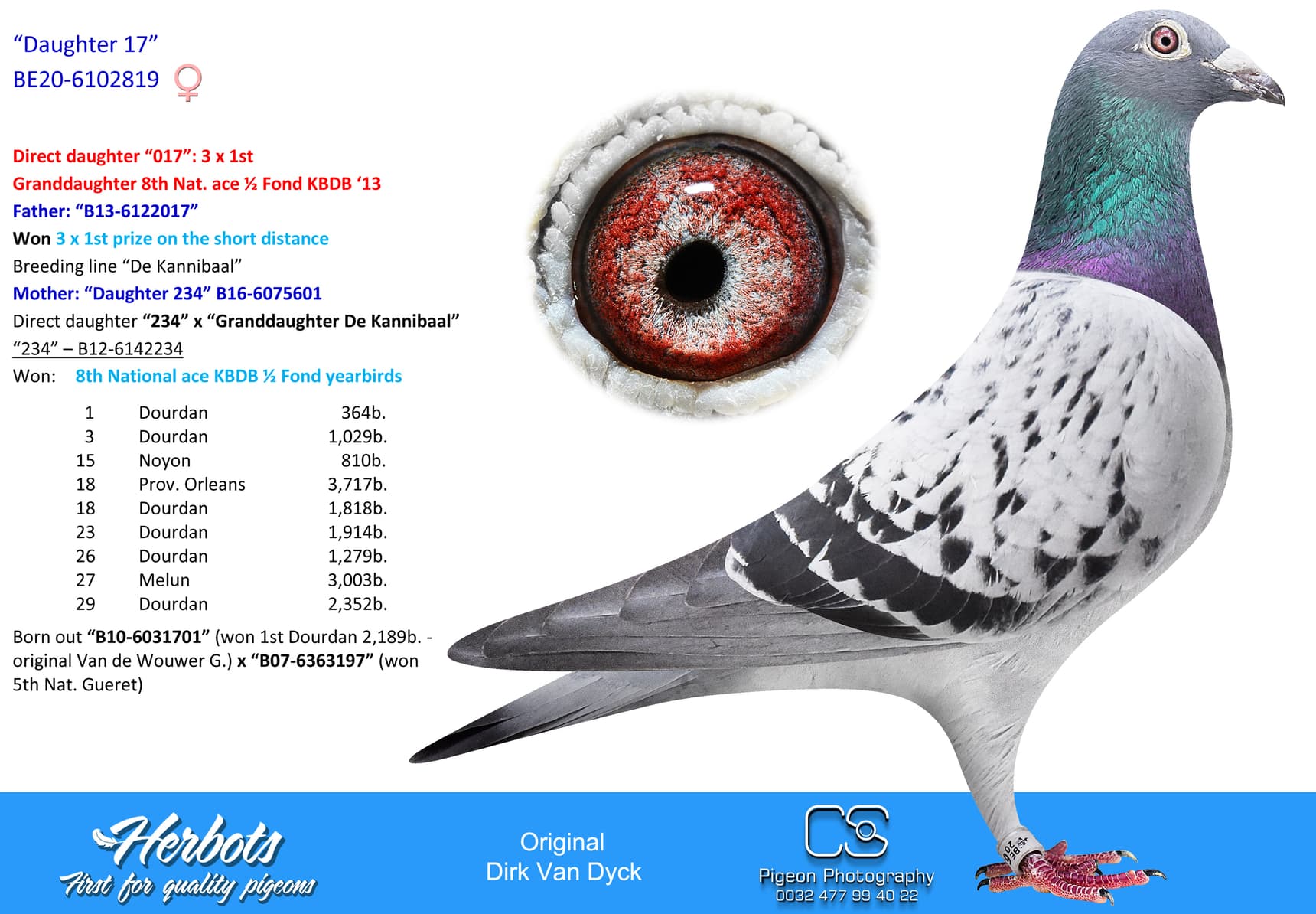 pigeon: undefined