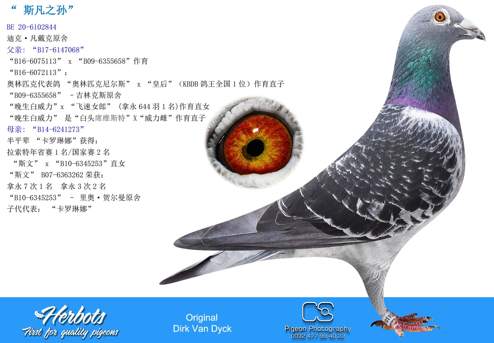 pigeon: undefined