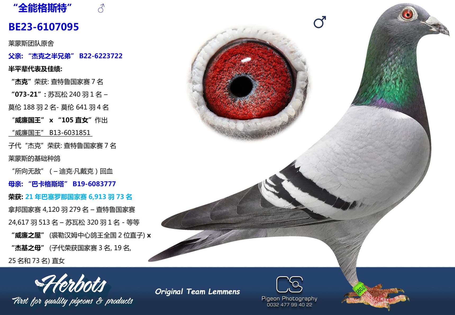 pigeon: undefined