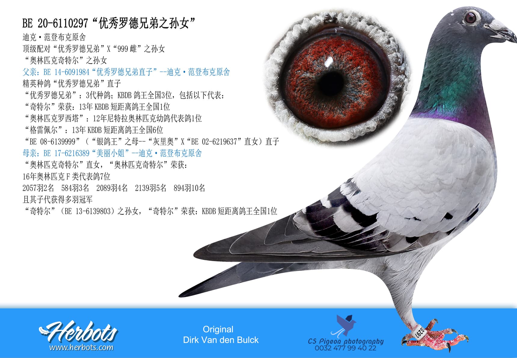 pigeon: undefined