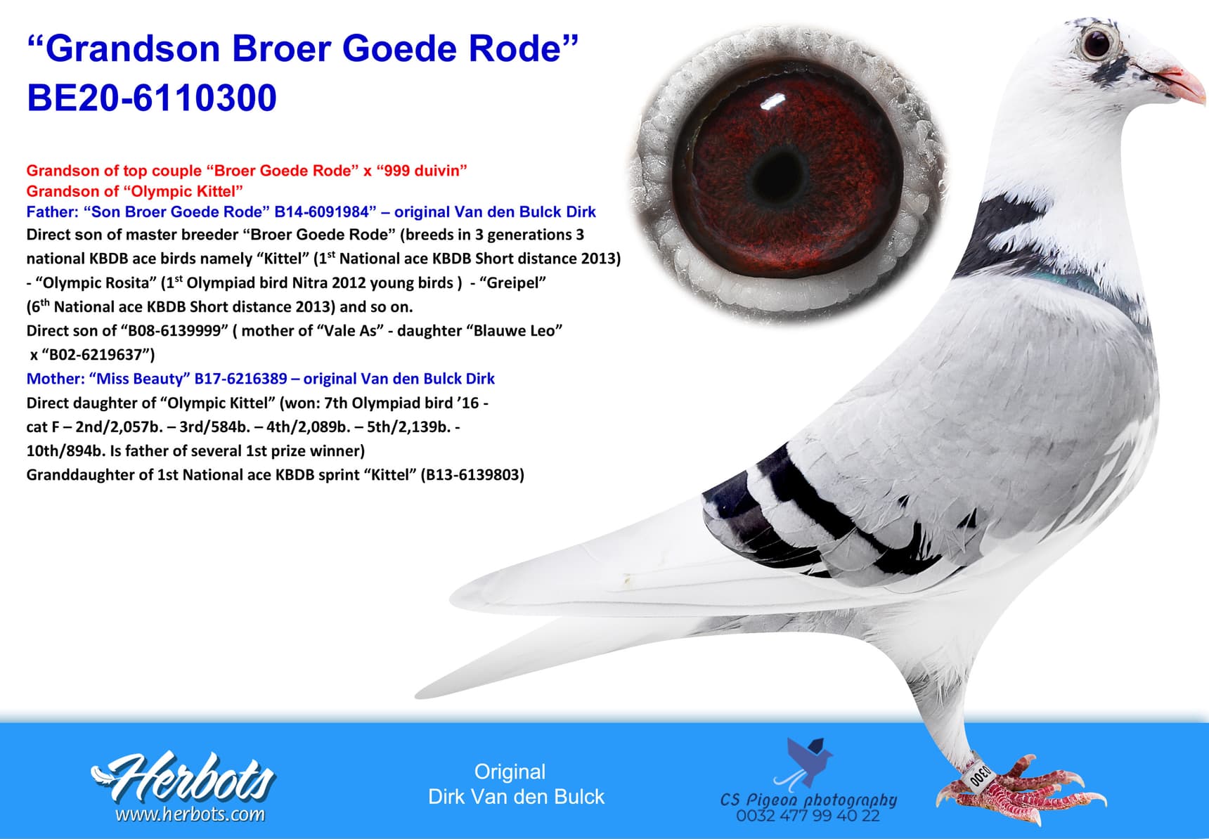 pigeon: undefined