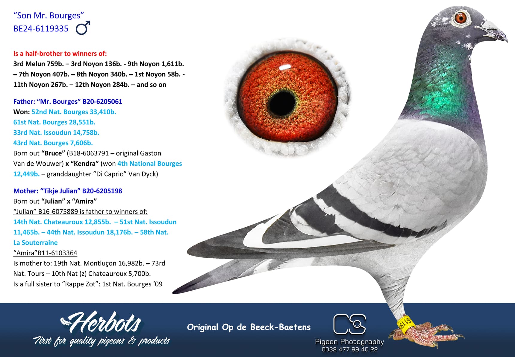 pigeon: undefined