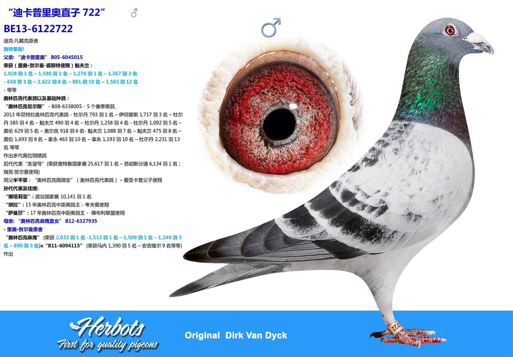 pigeon: undefined