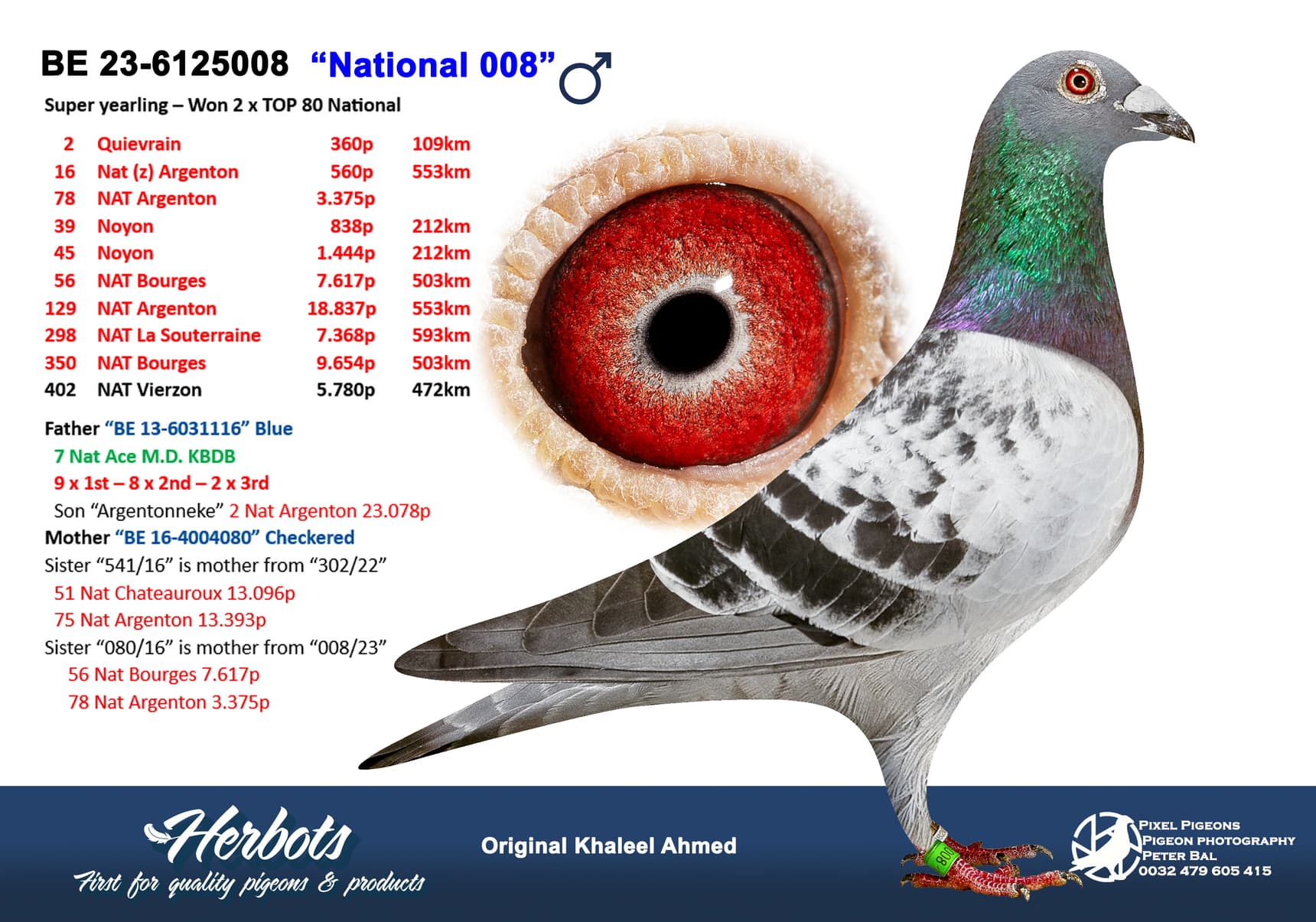 pigeon: undefined