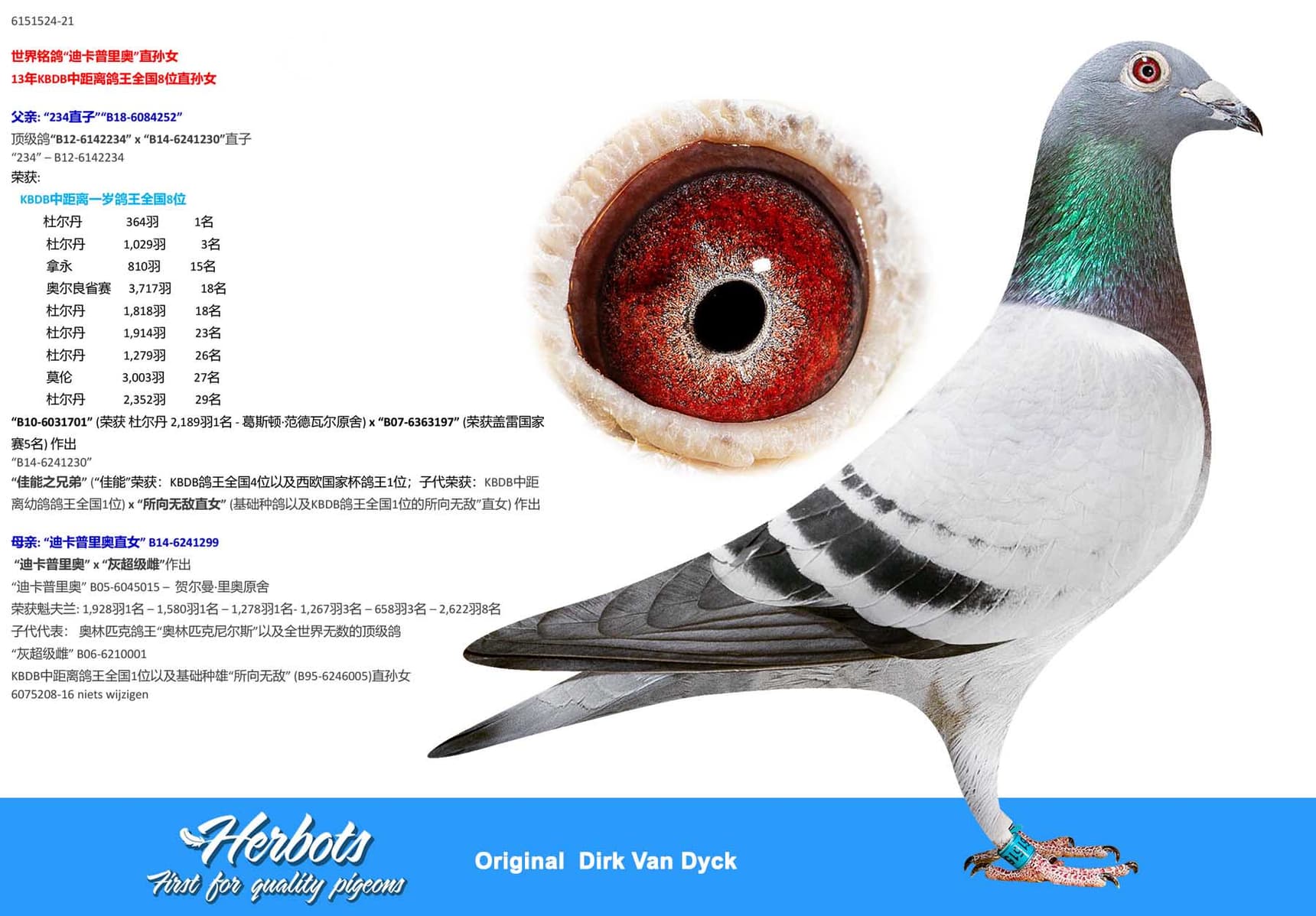 pigeon: undefined