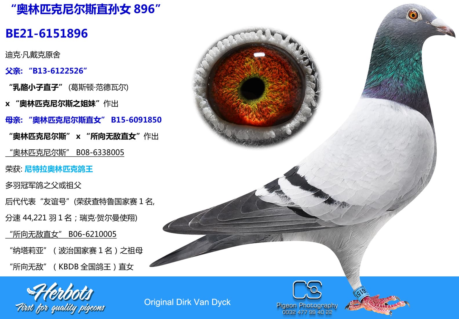pigeon: undefined