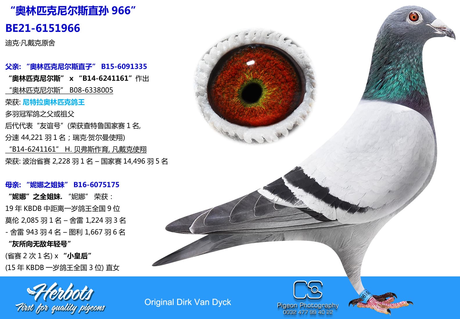 pigeon: undefined