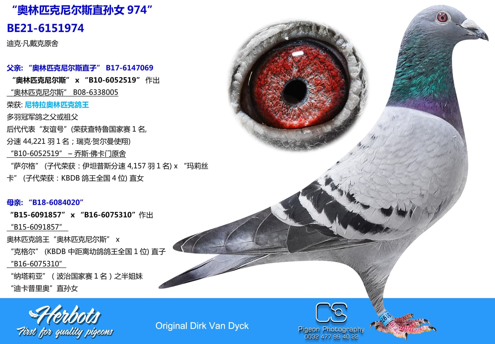 pigeon: undefined