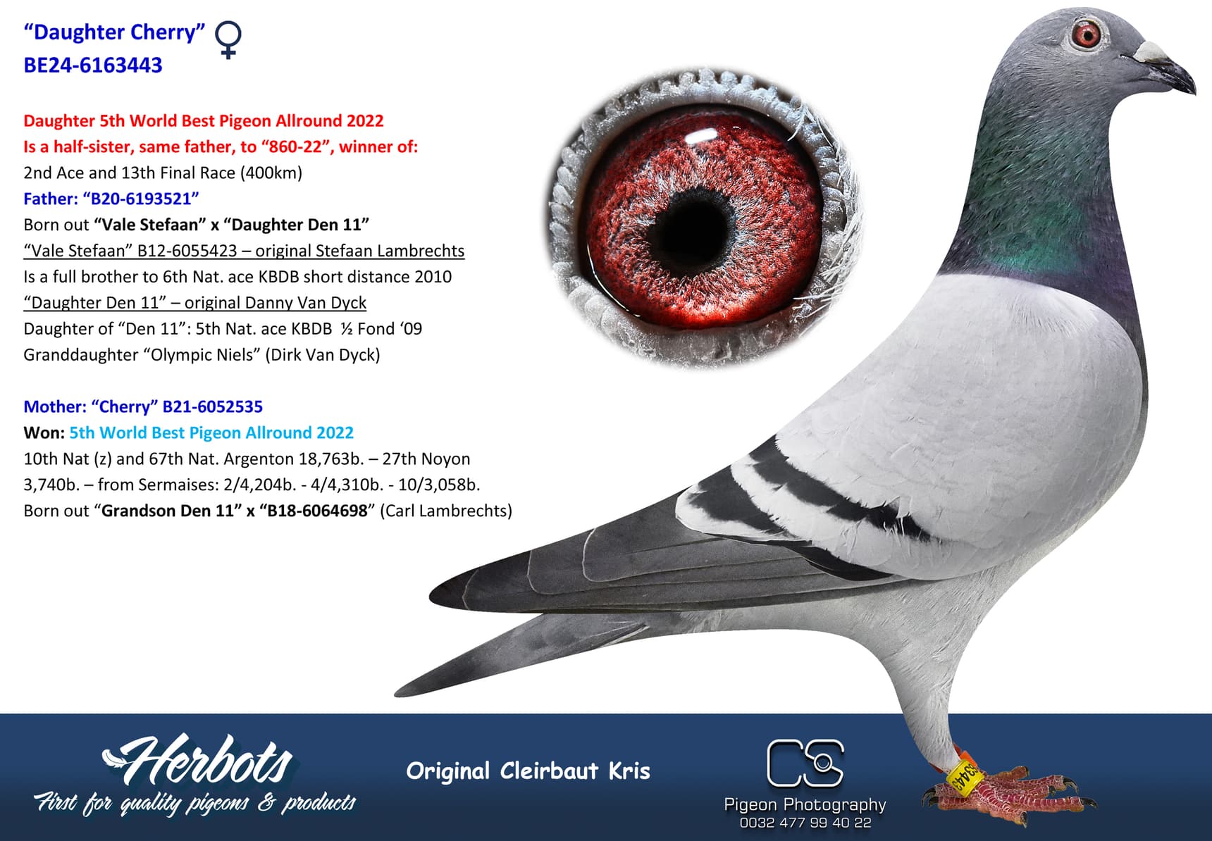 pigeon: undefined