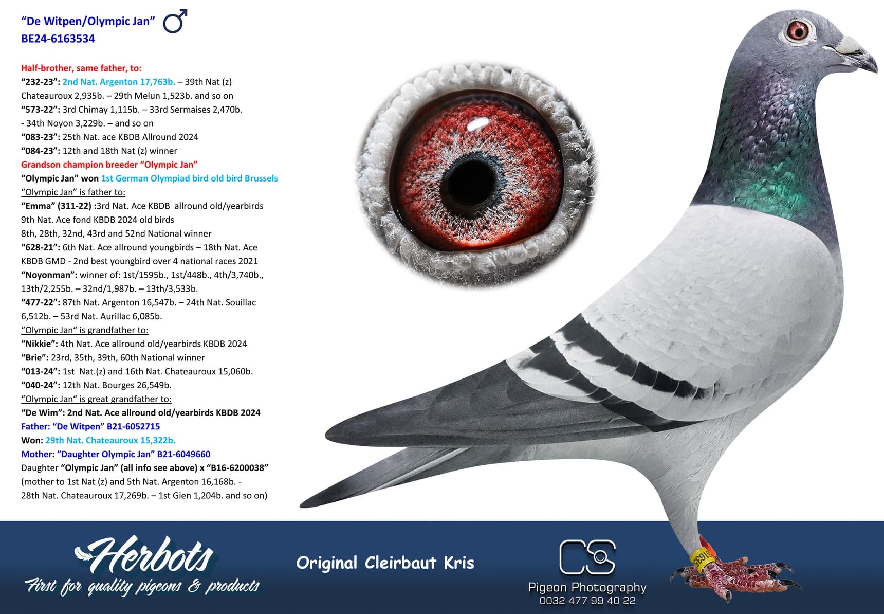 pigeon: undefined