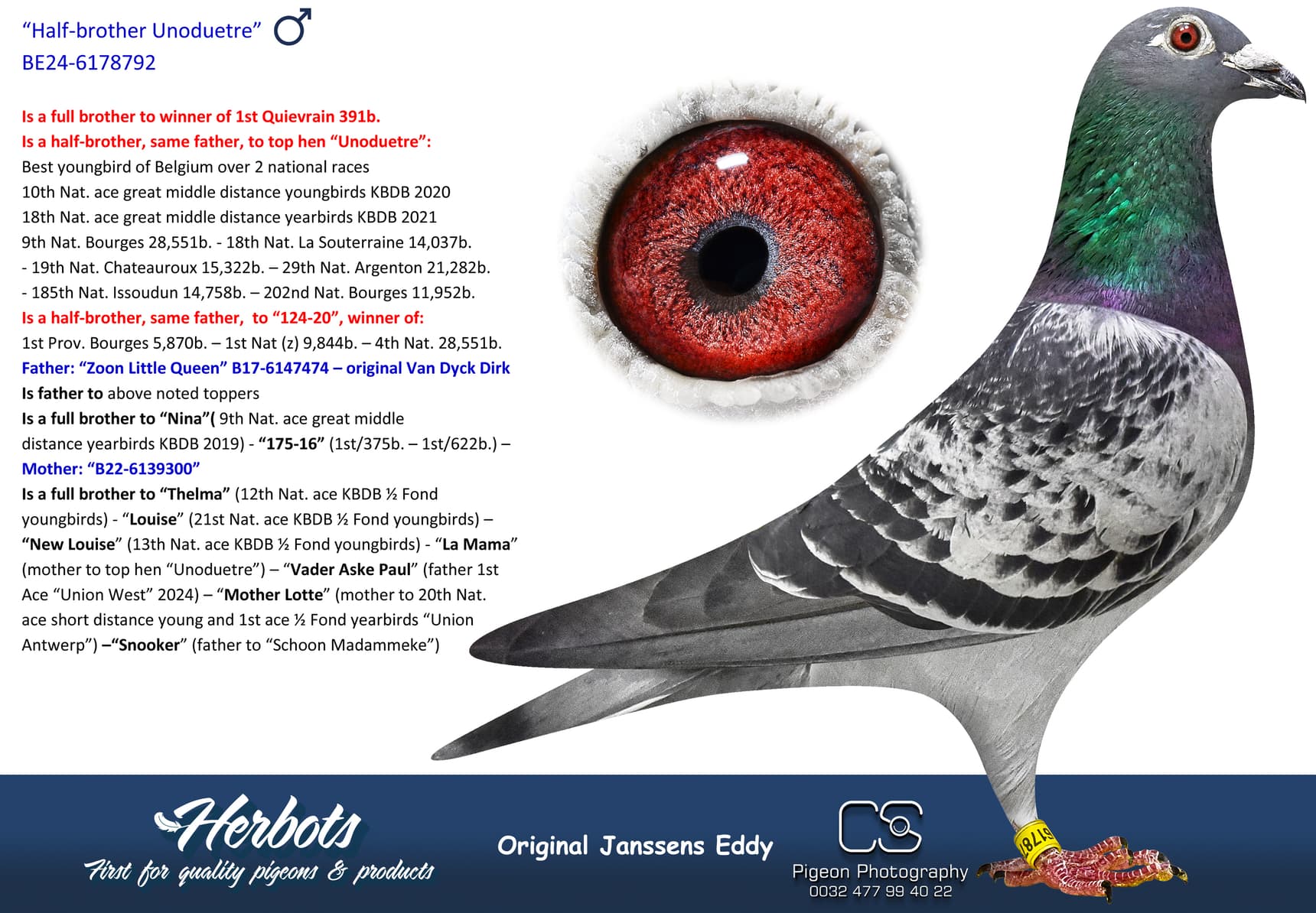 pigeon: undefined