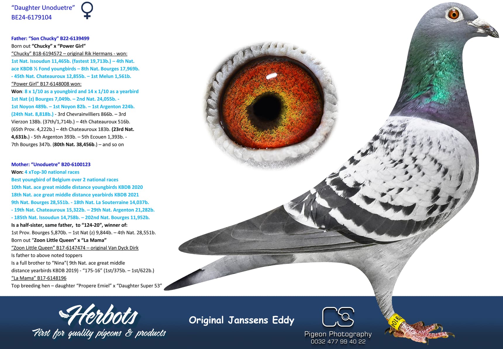 pigeon: undefined