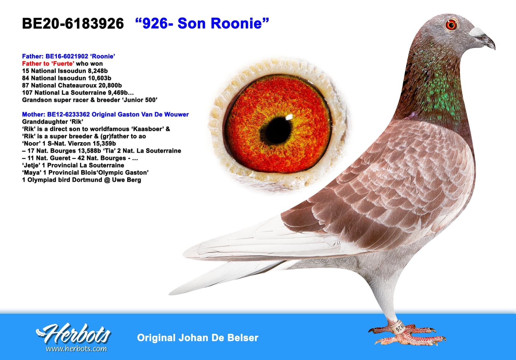pigeon: undefined